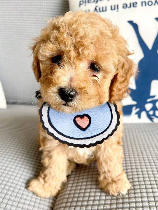 Heart Print Bandana Bib