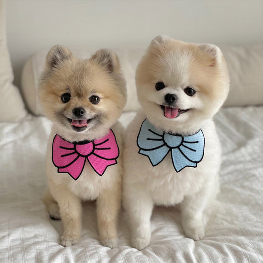 Ribbon Bow Print Bandana Bib