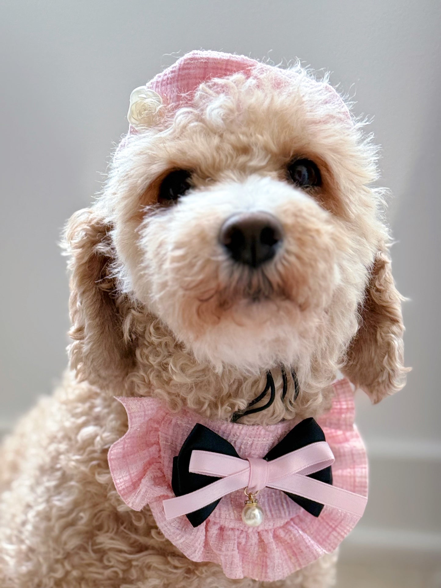 Tweed Beret Hat & Bandana Set - Pink