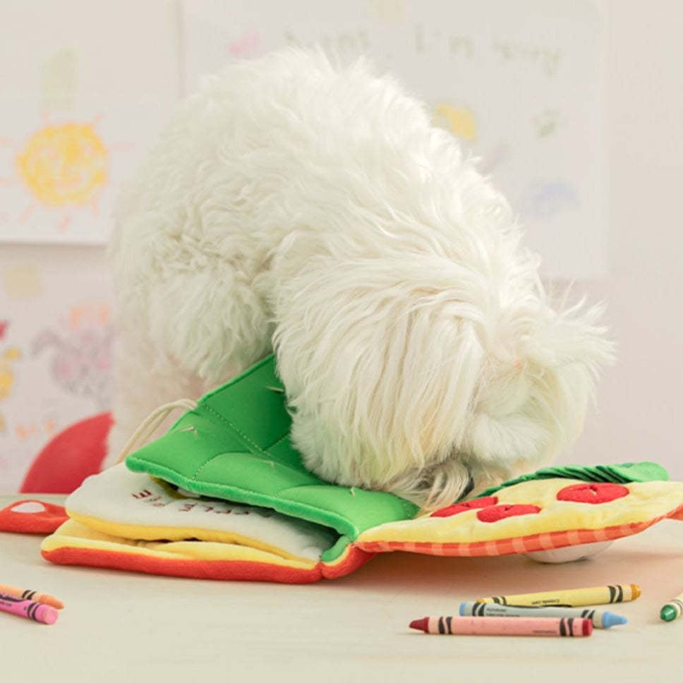 Interactive Treat-Hiding Dog Training Book Toy