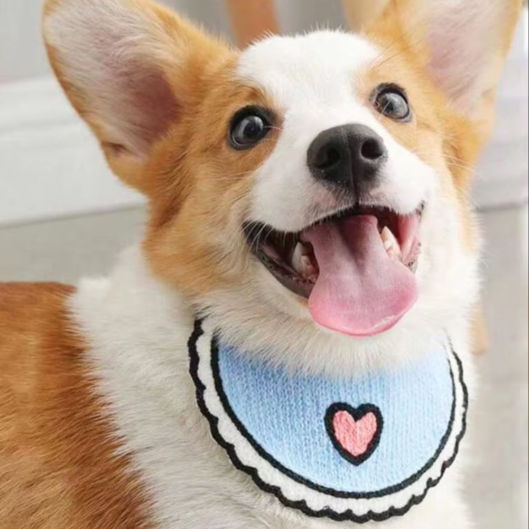 Heart Print Bandana Bib