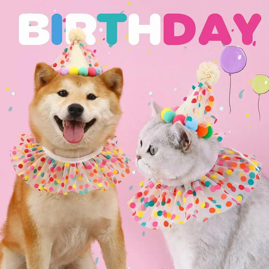 Polka Dot Pet Birthday Party Set