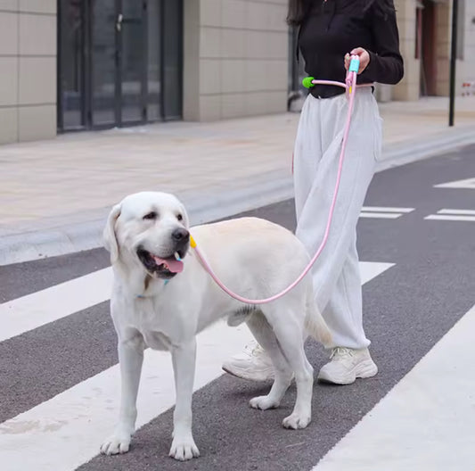 Hands Free Dog Leash - Worn 3 Ways